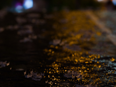 Animated Rain 3D 模型