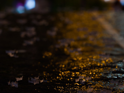 Animated Rain 3D 模型