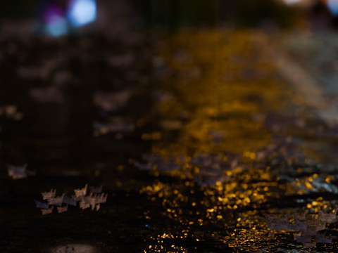 Animated Rain 3D 模型