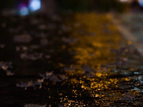 Animierter Regen 3D Modell