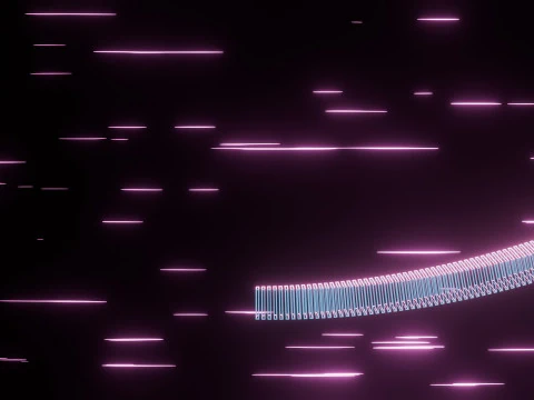 Abstract Torus Animation 3D Model