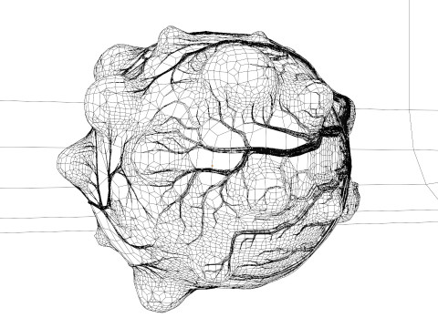 Alien Egg Animation 3D 모델