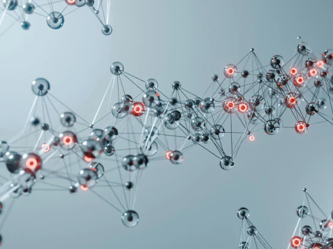 Organic Plexus Animation 3D Model