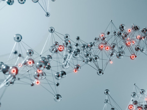 Organic Plexus Animation 3D 模型