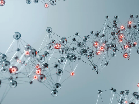 Organic Plexus Animation 3D Model
