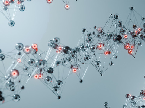 Organic Plexus Animation 3D 模型