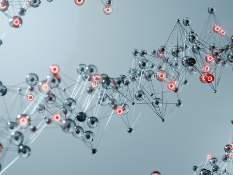 Organic Plexus Animation 3D 模型