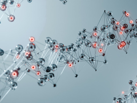 Organic Plexus Animation 3D 模型