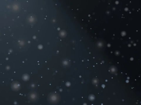 Dust Particles Animation 3D Model