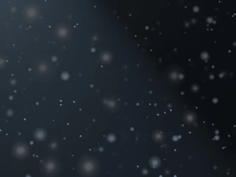 Dust Particles Animation 3D Model