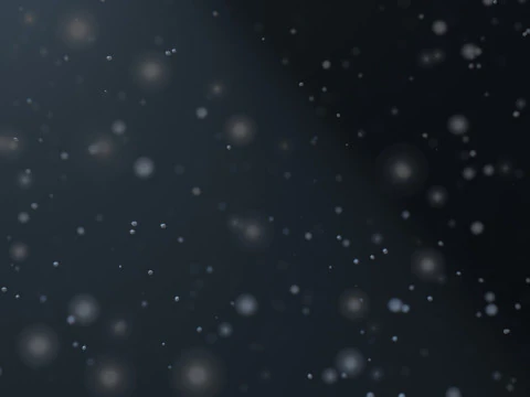 Dust Particles Animation 3D Model