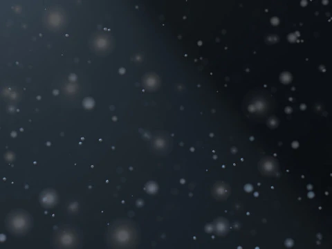 Dust Particles Animation 3D Model