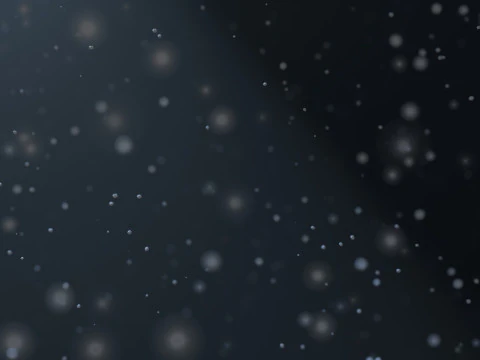 Dust Particles Animation 3D Model