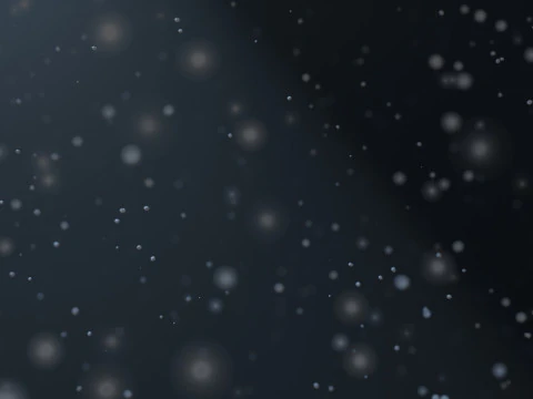 Dust Particles Animation 3D Model