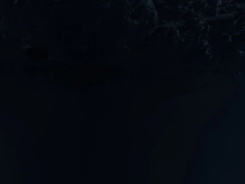 Stormy Ocean Animation 3D Model