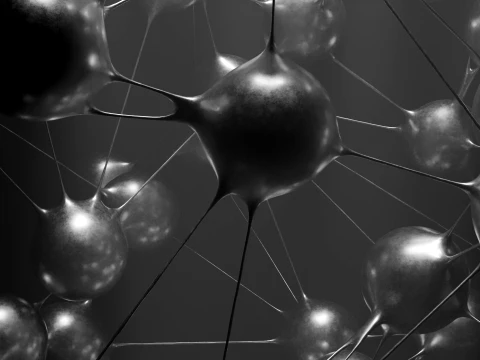 Liquid Spheres Connectivity 3D Model