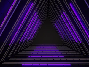 neonscene1 3D Model