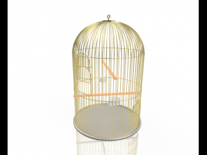 birdcage 3D Model