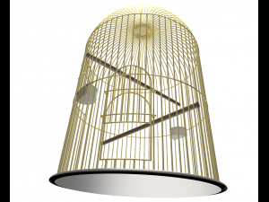 birdcage 3D Model