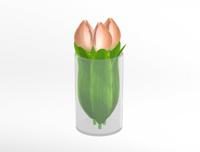 tulips Modelo 3D .c4d .max .obj .3ds .fbx .stl .blend 