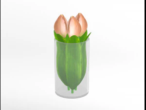 tulipany Model 3D