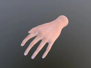 tangan Model 3D