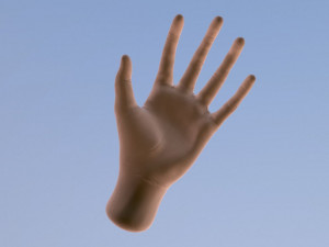 hand 3D 模型