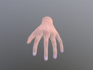 hand 3D 模型