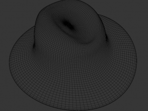 hat Modèle 3D
