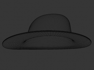 hat Modèle 3D