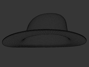 hat 3D Model