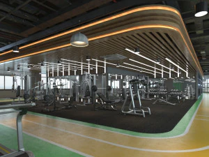 інтер'єр спортзалу 3D Модель