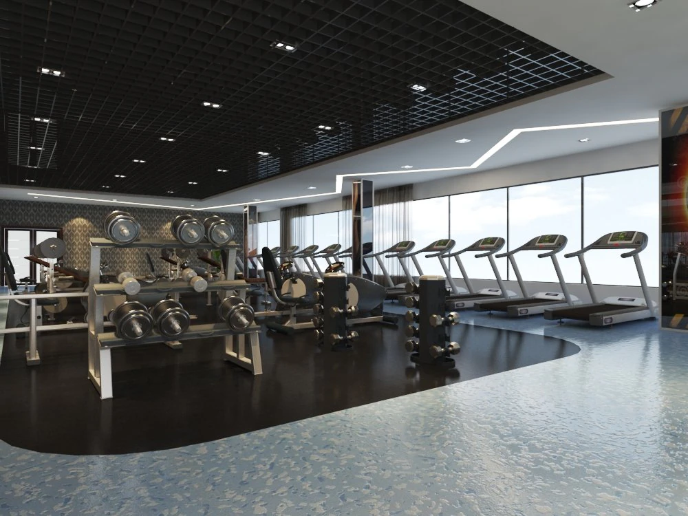 gym interior 3D Model .c4d .max .obj .3ds .fbx .stl .blend 