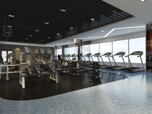 інтер'єр спортзалу 3D Модель