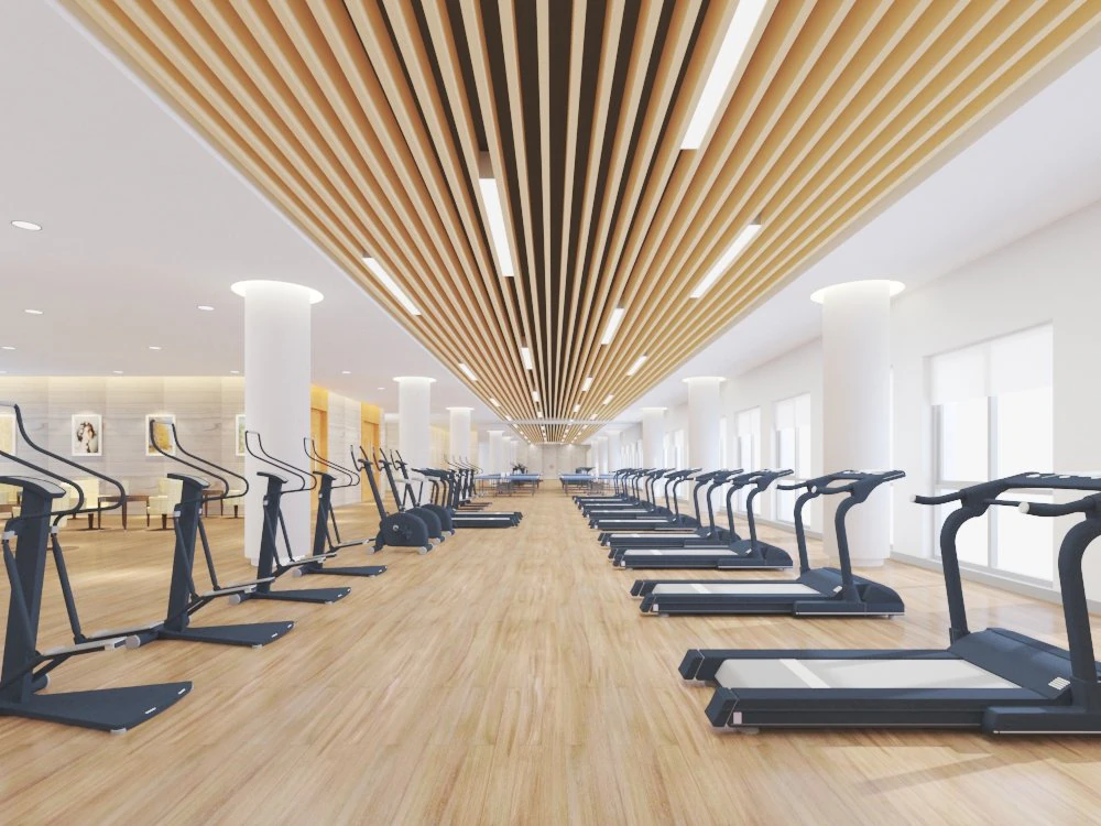 interno della palestra Modello 3D .c4d .max .obj .3ds .fbx .stl .blend 