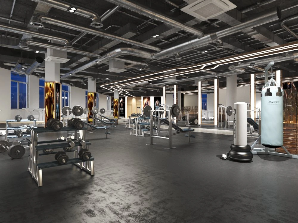 gym interior 3D Model .c4d .max .obj .3ds .fbx .stl .blend 