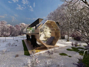 Лесной дом 3D Модель