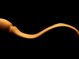 vibrator - dildo 3 3D Model