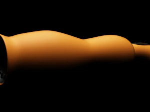 vibrator 5 3D Model