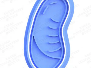 halloween candy cookie cutter set of 7 3D Print Model