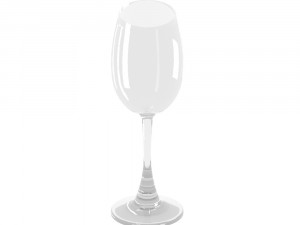 copa 3D Model