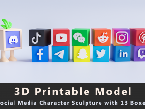 3D Character Sculpture with 13 Social Media Boxes 3D Print Model