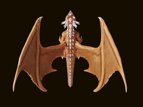 3D Printable Dragon Modello di stampa 3D