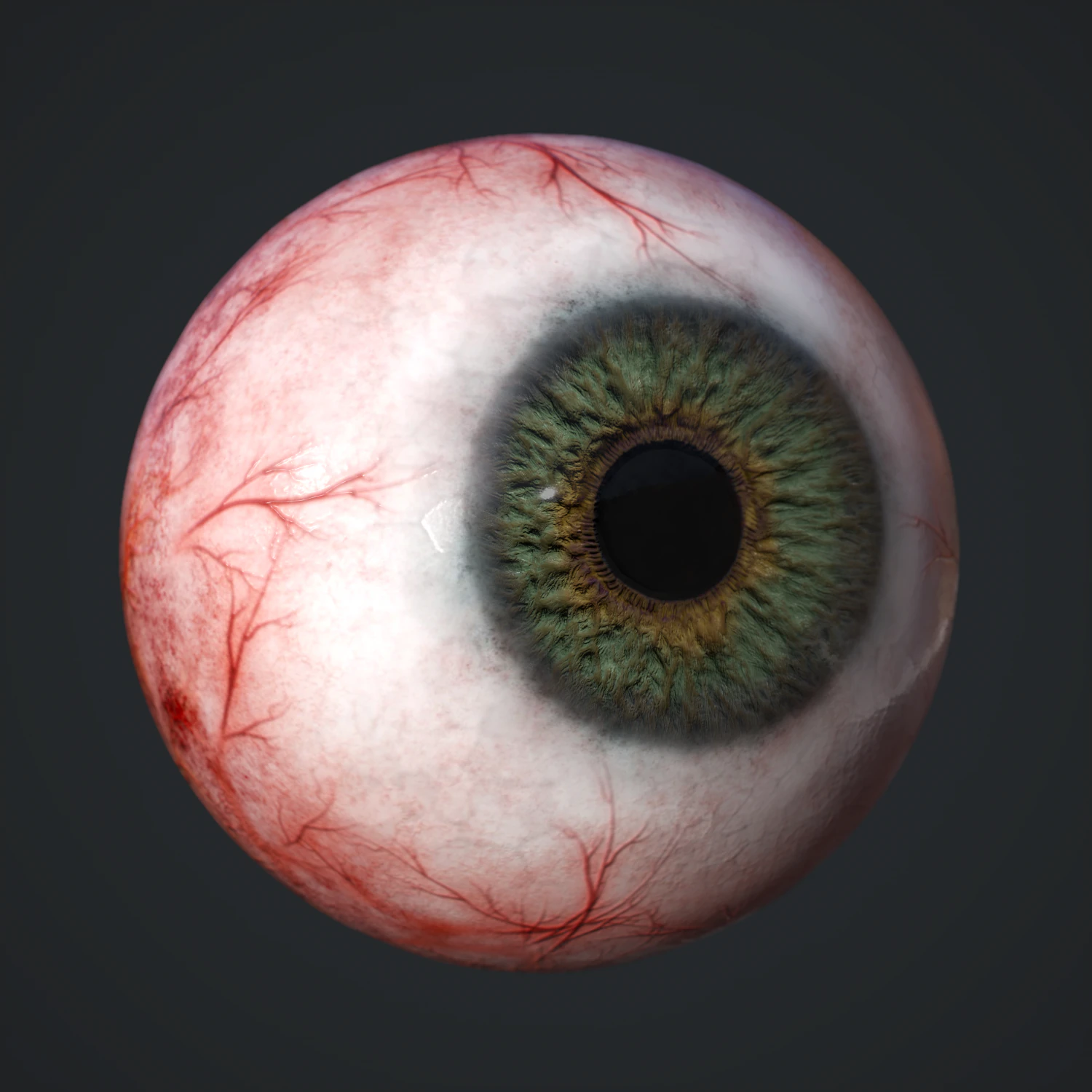 3d realtime eyeball - eye model 3D Model .c4d .max .obj .3ds .fbx .stl .blend 