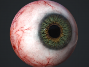 3d realtime eyeball - eye model 3D Model