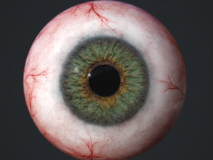 3d realtime eyeball - eye model 3D Model