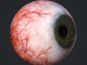 3d realtime eyeball - eye model 3D Model
