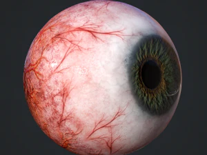 3d realtime eyeball - eye model 3D Model