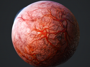 3d realtime eyeball - eye model 3D Model