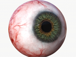 3d realtime eyeball - eye model 3D Model